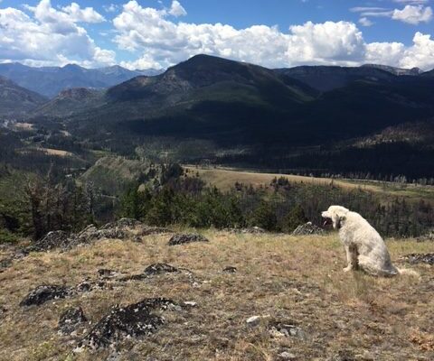 Luke near K Bar L Ranch