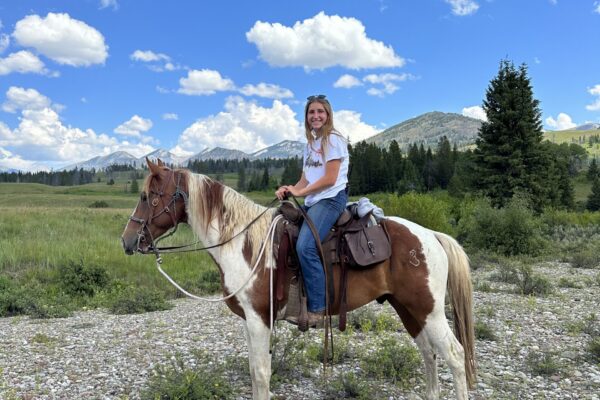 Horse 1