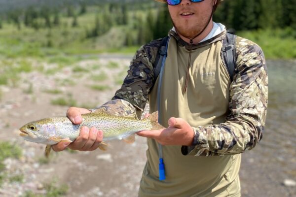 Trout_1