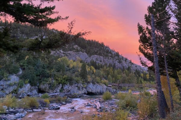 pink skies